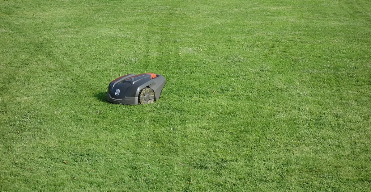 Robotmaaier op een groen gazon met zichtbare maaisporen